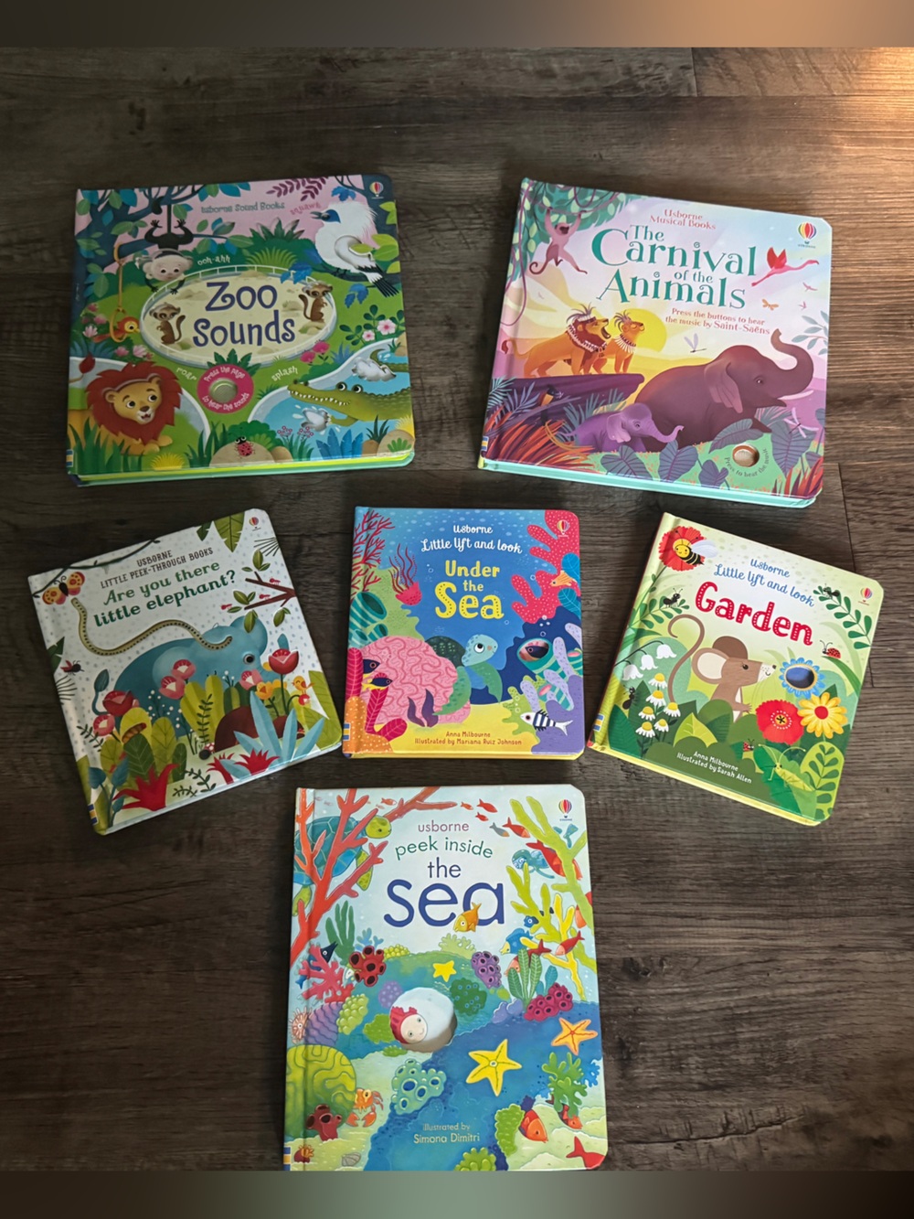 Usborne peak a boo and musical books- Colorful Children's Board Book Bundle